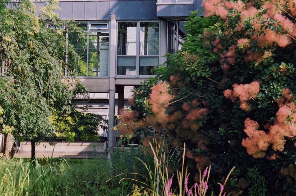 Egrove Park, University Of Οξφόρδη Εξωτερικό φωτογραφία